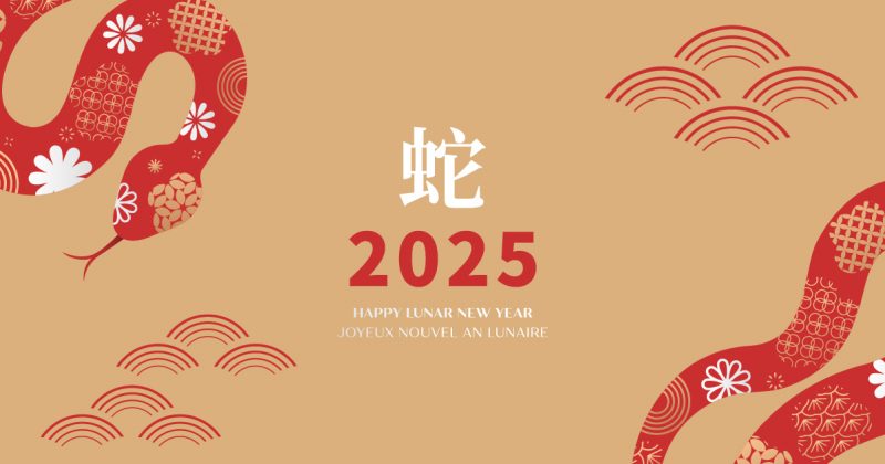 Happy Lunar New Year 2025! Year of the Snake! Levy Salis